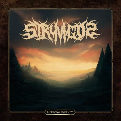 Обкладинка: Stryvigor · Lifelong Journey