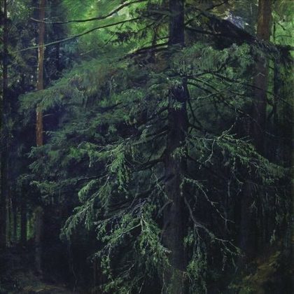 Обкладинка: Øbscurantist · Øbscura