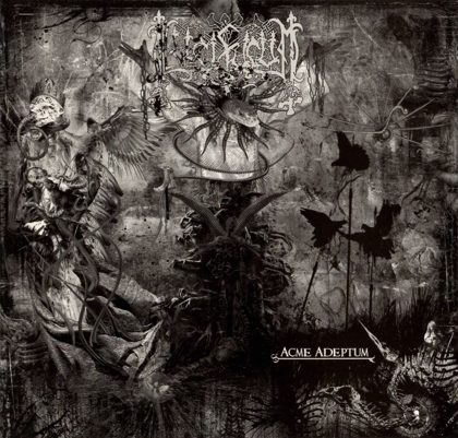 Обкладинка: Lucifugum · Acme Adeptum