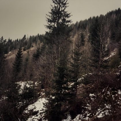 Обкладинка: Kapizh · Карпатський перевал/Carpathian pass